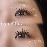 ダフルフラット80束