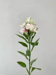 🌟髪質改善トリートメント🌟高濃度水素トリートメント+カラー