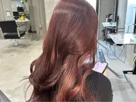 バイカルテトリートメント5step🫧✨
