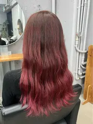 【当日限定】 フルカラー