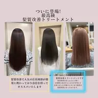 🔷【ブリーチ毛も輝くとK-popアイドルも絶賛💎】シルキー髪質改善トリートメント🔥トリートメント人気No.1👑