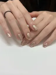 Premium collection｜定額コース