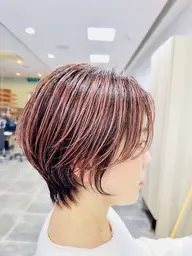 ハイライトプラスメニュー　希望メニューにハイライト１５枚まで追加のオプションメニューになります。