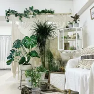 スカルプ Offのみ /🦄¥4000