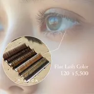 🤎フラットラッシュ(ブラウンカラー3色)​〜​120本まで