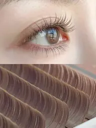 【新規オフ無料】人気フラットラッシュ ★ドレッジーブラ ウン120本 ¥ 4980