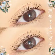 ミニモ特別セット価格🌻 デザインまつ毛パーマ+眉毛WAX【眉カット込み】💖