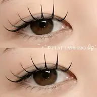 【minimo限定価格】🤍フラットラッシュ 120本🤍