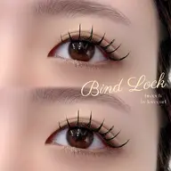 バインドロック 120本(60束)🪽