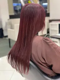 【🌈ブリーチ無し🌈】カット＋ダブルカラー＋トリートメント　再来の方＋¥2000