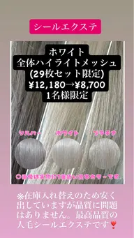 高品質人毛シールエクステ,表面全体メッシュ29枚12180→8700(1枚300)ホワイトカラー限定