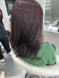 【🔥4月29日or30日19時から限定🔥】レディースカット＋ベーストリートメント