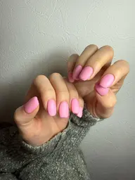 𝒐𝒏𝒆𝒄𝒐𝒍𝒐𝒓