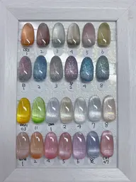 マグネットワンカラー🦋