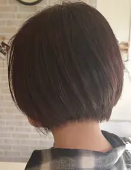 🌙【ショートボブ限定‼️◎】カット✂️➕リタッチ（白髪染め⭕️）🎨➕トリートメント🫧