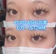 オフなし🤍フラットラッシュ120本