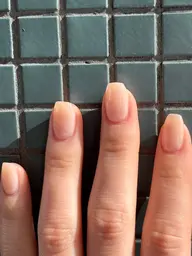 ワンカラーモデル（オフあり）