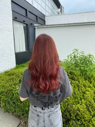 ダブルカラー+バイカルテトリートメント