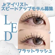 持続最強LED🌹【フラットラッシュ80本】¥4000✨コーティング付◎