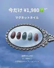 【期間限定】マグネットネイル ¥1,980　🌈オフ有無どちらでも追加料金なし🌈