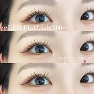 最新✨️LEDフラットラッシュ100本(オフ込み)