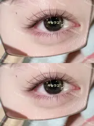 「オフ不可」フラット120本