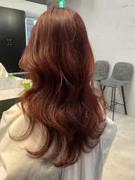 ワンカラー（ブリーチなし×）💎モデル料金⟡.·