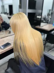 【🔥大好評🔥】透け感ダブルカラー