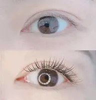 最高級セーブル120本♪¥5000