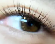 【オフ無料】フラットラッシュ120本