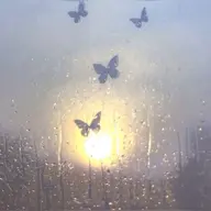 マツエク オフのみ【まつ育に専念・気分転換にオススメ️🫧】／大宮