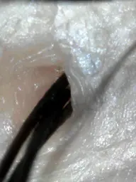 美容師だからできる！極上ヘッドスパ 120分コース