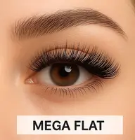 メガフラット60.80束