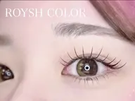 🌈カラーフラットラッシュ 100本