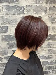 ショートシングルカラー✨