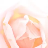 【2か月以内】VIOオールオフ💗ブラジリアンワックス・女性