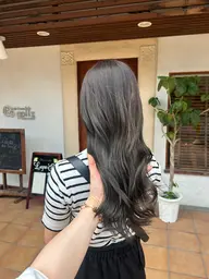 【🛒当日限定特別メニュー🩶】カット+イルミナカラー+Regottzトリートメント