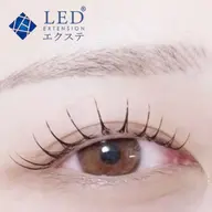 【🌻8/25限定🌻】LEDフラット120本　オフ・Wコーティング付　9300円→7300円