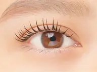 パリエク　セーブル80本