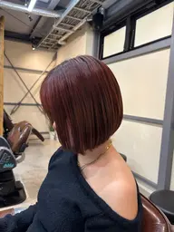 カット +トリートメント(カットはボブorレイヤーのみ)