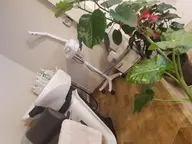 カットと前髪の縮毛矯正