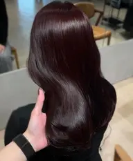 【平日限定】ワインレッド꙳✴︎*. ゚