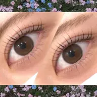 【🕊初回限定🕊】上下まつげパーマ