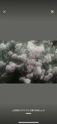 Aujuaシャンプー➕Aujuaプレミアムトリートメント🫧