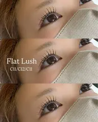 フラットラッシュ80本