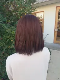 🌱 高校生限定(ワンカラー+SPA)