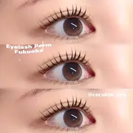 【韓国束感👀🎀🫧】上下ケラチンラッシュリフト+美容液コーティング