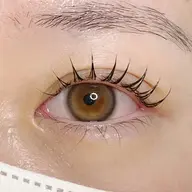 アイシャンプーorエクステオフ➡︎ラッシュリフト🦄✨