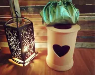 初回限定❤黄土よもぎ蒸し30分