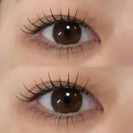 パリジェンヌラッシュリフト上下🪄💫